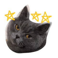 [LINEスタンプ] むひあぐ
