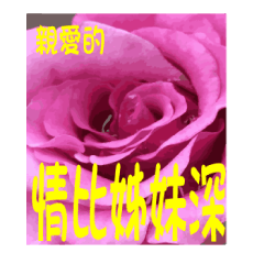 [LINEスタンプ] Flower language by Hu and Lu
