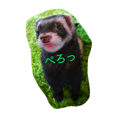 [LINEスタンプ] まぶちゃん