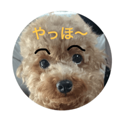 [LINEスタンプ] ニャンコ先生と清。