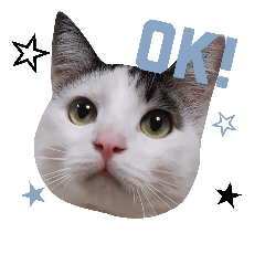 [LINEスタンプ] 西岡まるまる