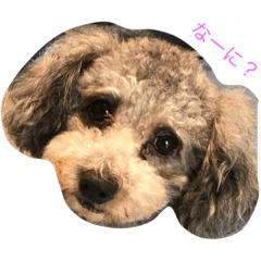 [LINEスタンプ] れおん 1