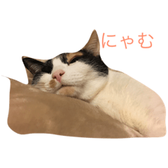 [LINEスタンプ] オメグマニア