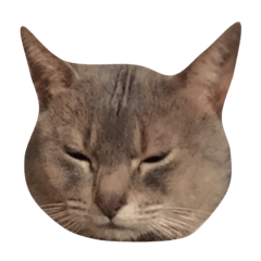 [LINEスタンプ] ギザンプ