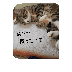 [LINEスタンプ] ゆずとみかん