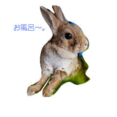 [LINEスタンプ] 小さな世界何気ない日常。