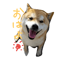 [LINEスタンプ] 田舎のいぬ