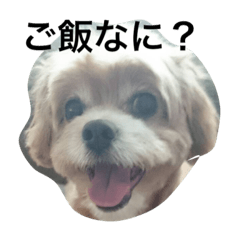 [LINEスタンプ] らぼさん