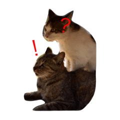[LINEスタンプ] かわいい動物.えのき