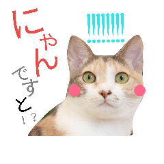 [LINEスタンプ] ブルームのパステル三毛猫