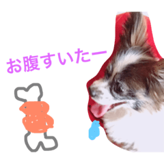 [LINEスタンプ] ゆる〜い犬