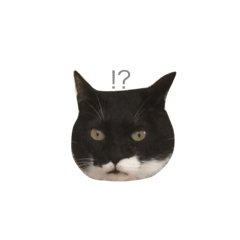 [LINEスタンプ] きろくのすたんぷ