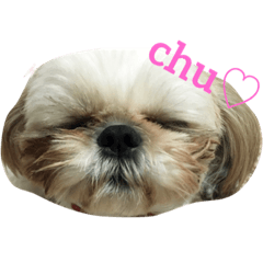 [LINEスタンプ] うめもももか