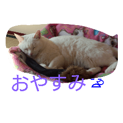 [LINEスタンプ] ちびちゃん（白）