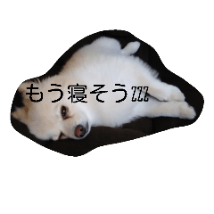 [LINEスタンプ] Anko