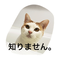 [LINEスタンプ] はなのつぶやき