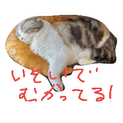 [LINEスタンプ] マーコロと愉快な仲間達