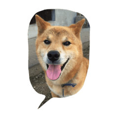 [LINEスタンプ] EVE DOG SPEAK