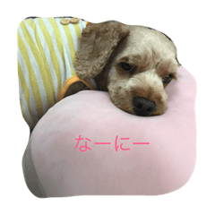 [LINEスタンプ] マミーだよ♡