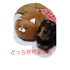 [LINEスタンプ] ダックスのさくぼん