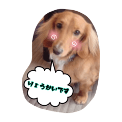 [LINEスタンプ] 愛犬グロス。