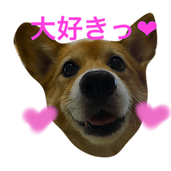 [LINEスタンプ] コギ❤︎ラブ