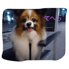 [LINEスタンプ] じゃじゃまる