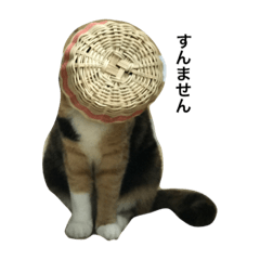 [LINEスタンプ] ひょんの世界 1