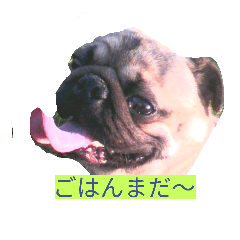 [LINEスタンプ] パグモンスター