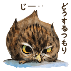 [LINEスタンプ] フクロウスタンプ。ふくろうイラスト修正版