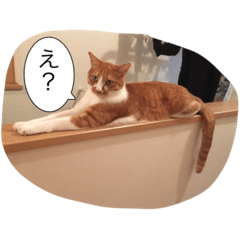 [LINEスタンプ] おぱかぴもぷとぺ2