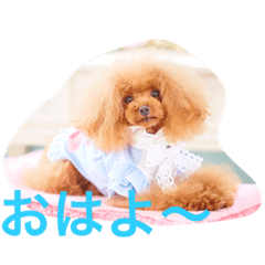 [LINEスタンプ] ☆モカの気持ちスタンプ☆