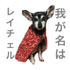 [LINEスタンプ] てぃぴろぜ