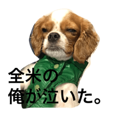 [LINEスタンプ] dande3