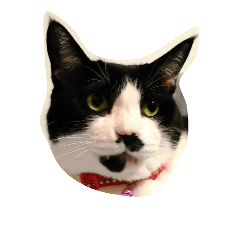 [LINEスタンプ] バンです