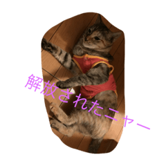 [LINEスタンプ] チビ子の1日