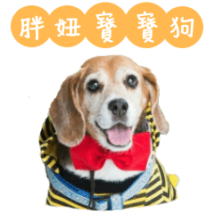 [LINEスタンプ] Beagle's Life