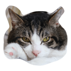 [LINEスタンプ] あびくん。