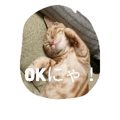 [LINEスタンプ] ハルくんの日常