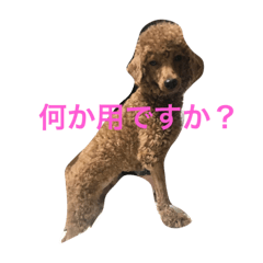 [LINEスタンプ] ちょんちょん一家の日常1