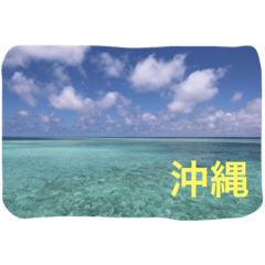 [LINEスタンプ] 沖縄の海と海中の生き物