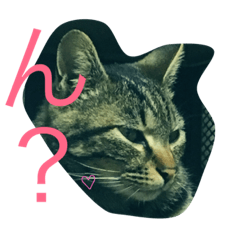 [LINEスタンプ] はつ2
