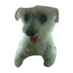 [LINEスタンプ] 愛犬レディちゃん