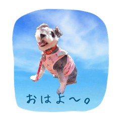 [LINEスタンプ] フレンドリーりんちゃん  2