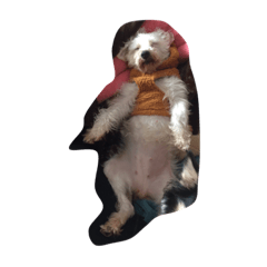 [LINEスタンプ] komatu