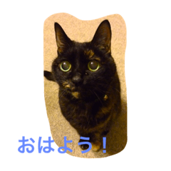 [LINEスタンプ] くうchan
