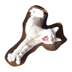 [LINEスタンプ] かぼすだち