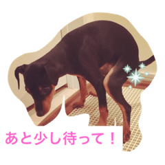 [LINEスタンプ] クルクルミニピン2