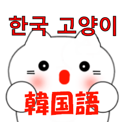 [LINEスタンプ] 韓国語のかわいい白猫（韓国語と日本語）の画像（メイン）