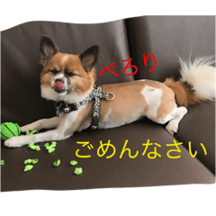 [LINEスタンプ] まぐろと友達